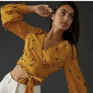 ANTHROPOLOGIE Long Sleeve wrap Bee Top